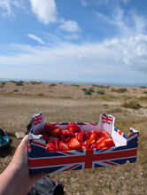 Load image into Gallery viewer, 224231 -STA Award in Open Water Coaching - Theory online 7th and 16th August - Choice of practical in Hayling Island
