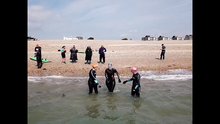 Load image into Gallery viewer, 224219- STA Open Water Safety - Theory 21st February - Choice of practical at Hayling Island
