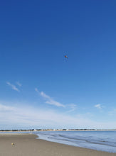 Load image into Gallery viewer, 209122-STA Level 2 Open Water Swimming Coaching - online theory March weekend and practical April, Hayling Island, UK
