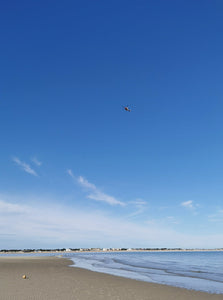 209122-STA Level 2 Open Water Swimming Coaching - online theory March weekend and practical April, Hayling Island, UK