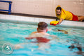 224184 - STA Safety Award for Teachers near Chichester - March 2026